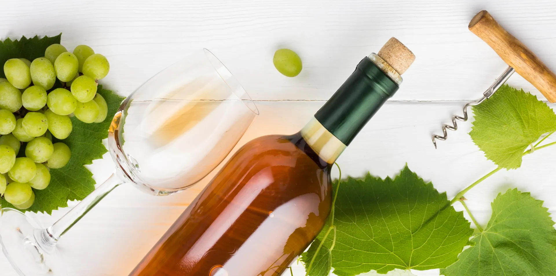 Tajne neispričanih kapi – Wine & Gastro Fest Subotica 2026