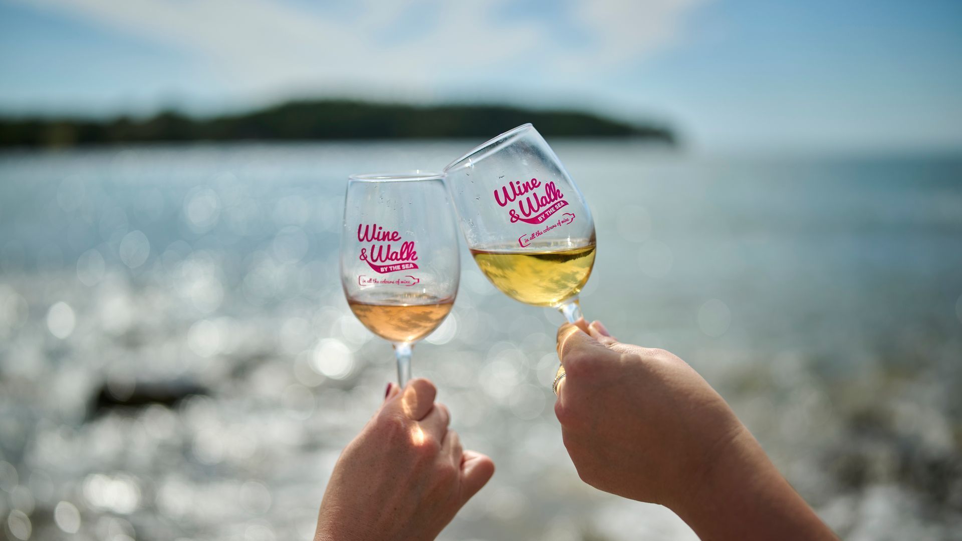 Wine & Walk by the Sea Novigrad 2026