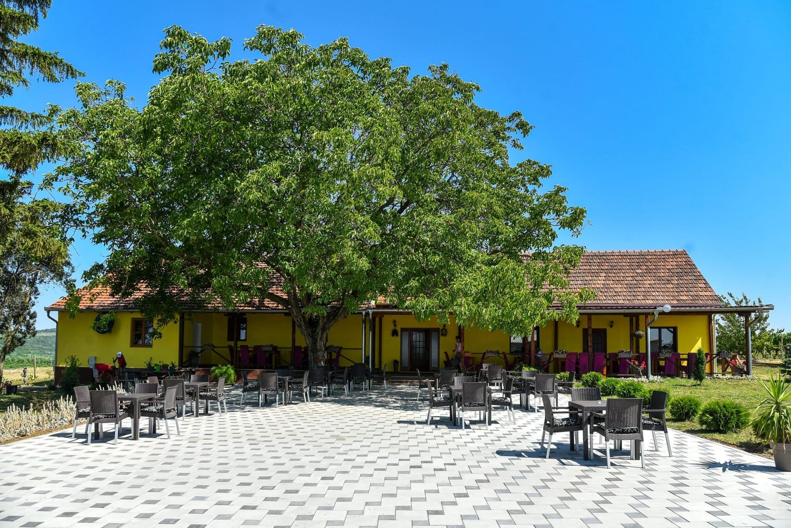Vinarija Brestovački