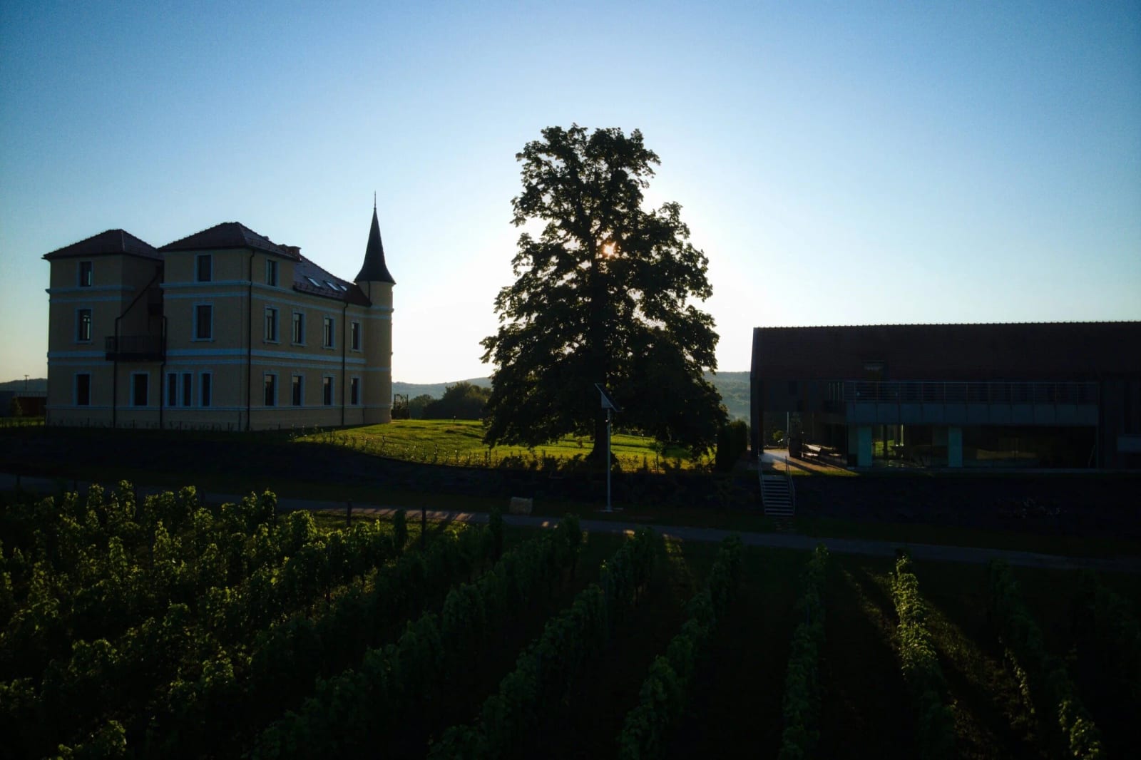 Silvanac (Silvaner)