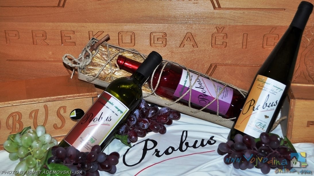 Vinarija Prekogačić