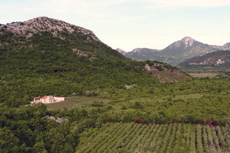 Zavjet Vinarija
