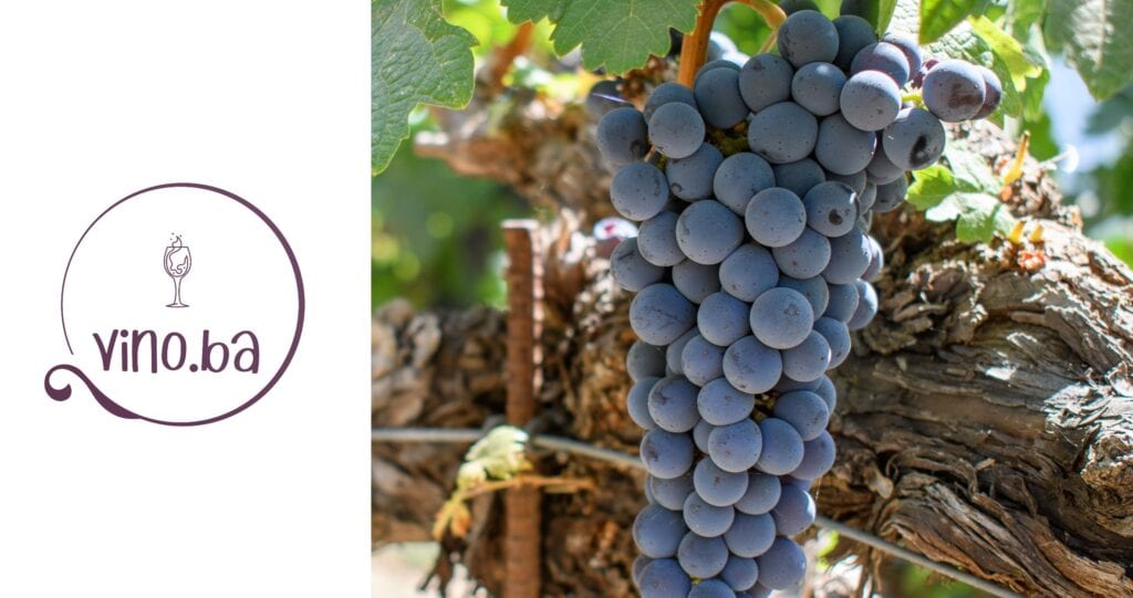 Cabernet Sauvignon