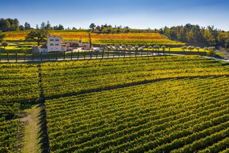 Vinarija Kabola