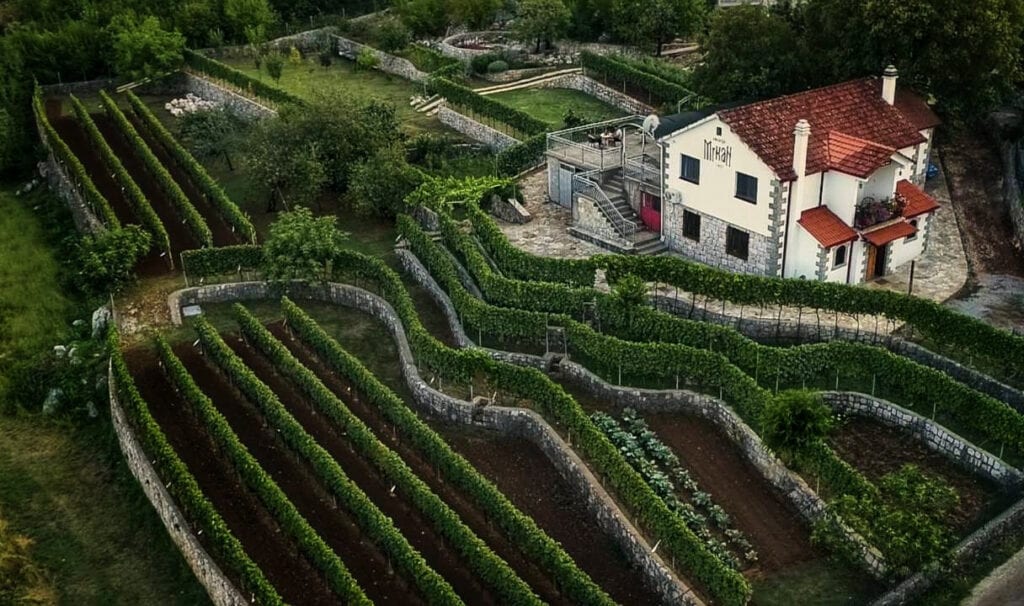 Vinarija Mrkan