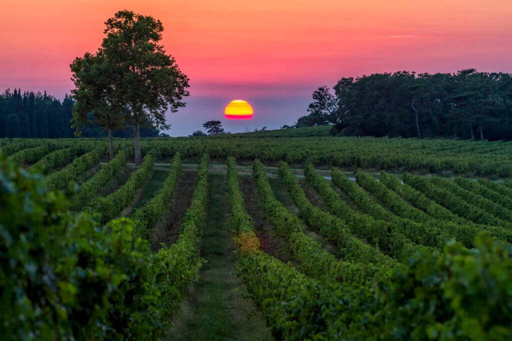 Vinarija Vinakoper