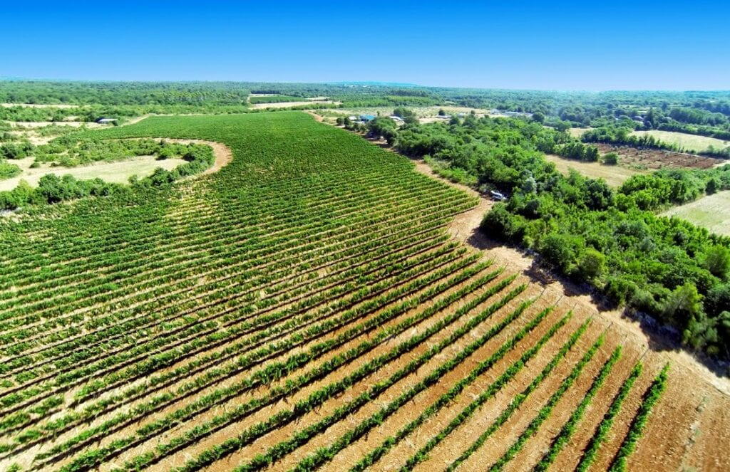Vinarija Trapan