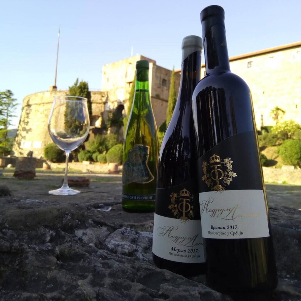Vinarija Podrum Despot