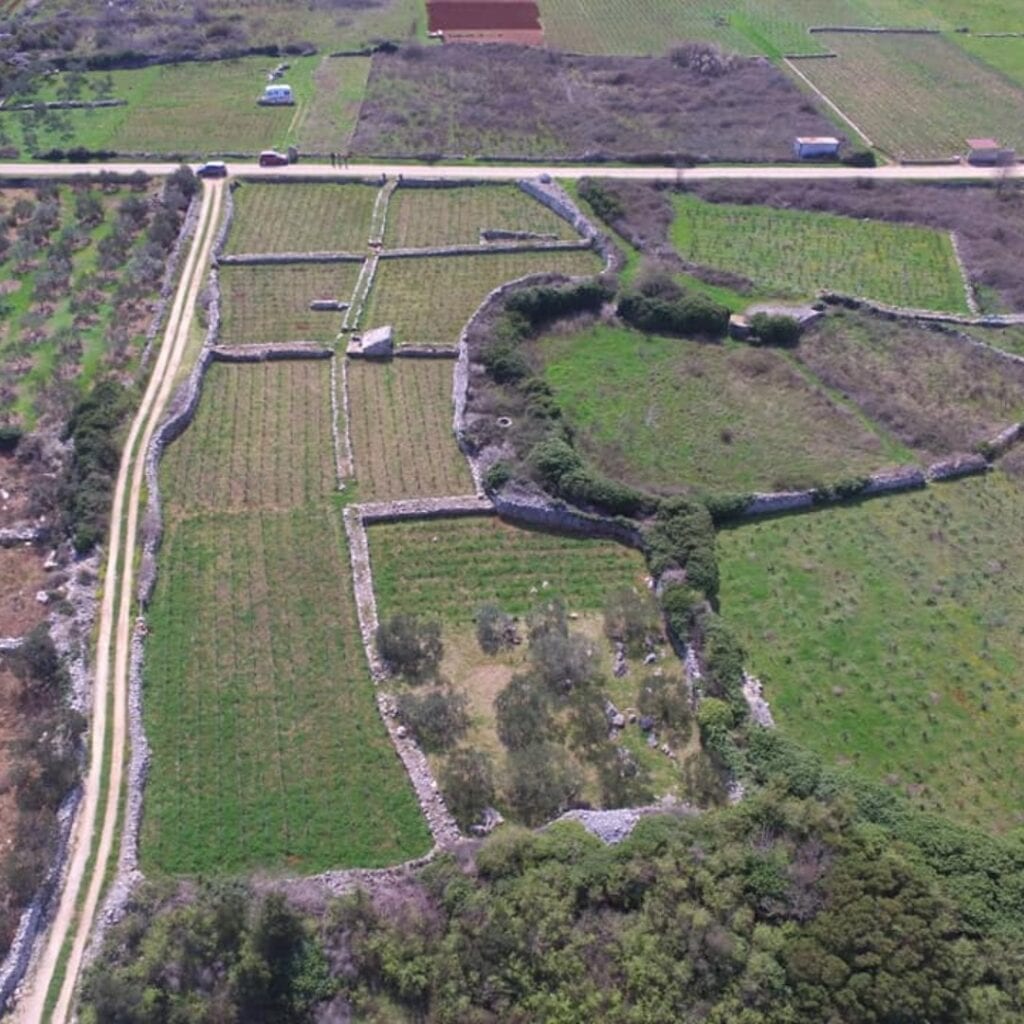 Vinarija Pavičić vina