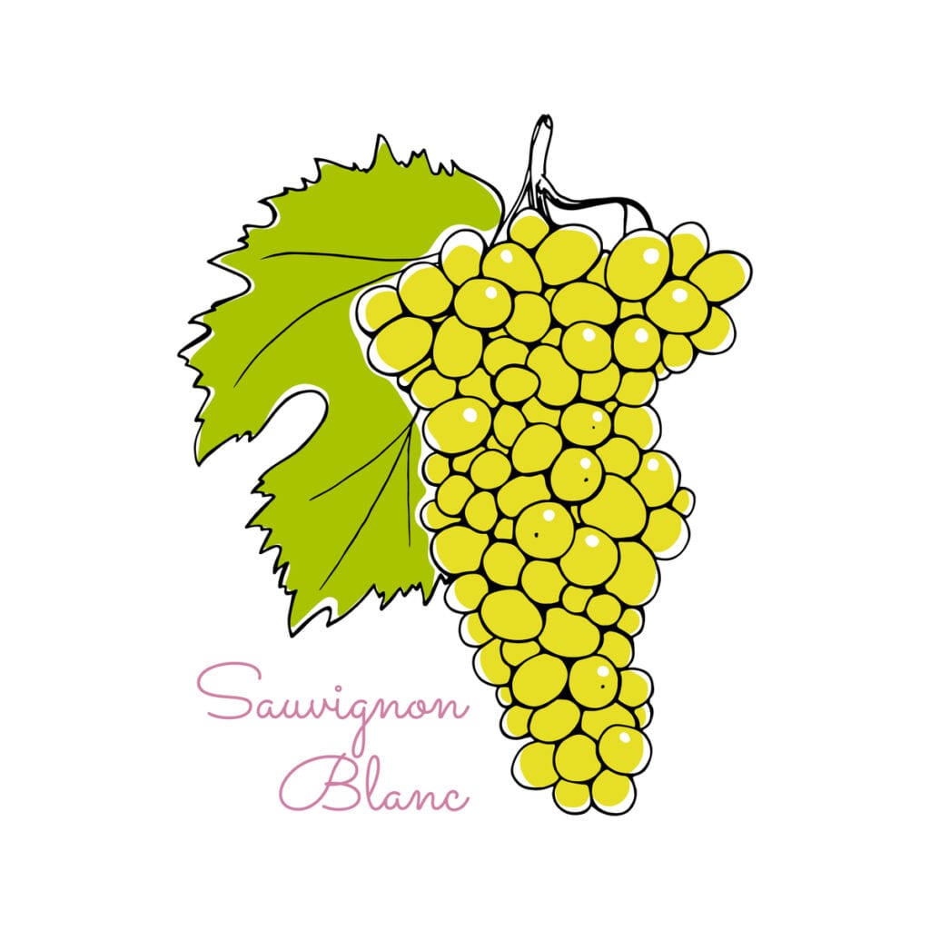 Sauvignon Blanc