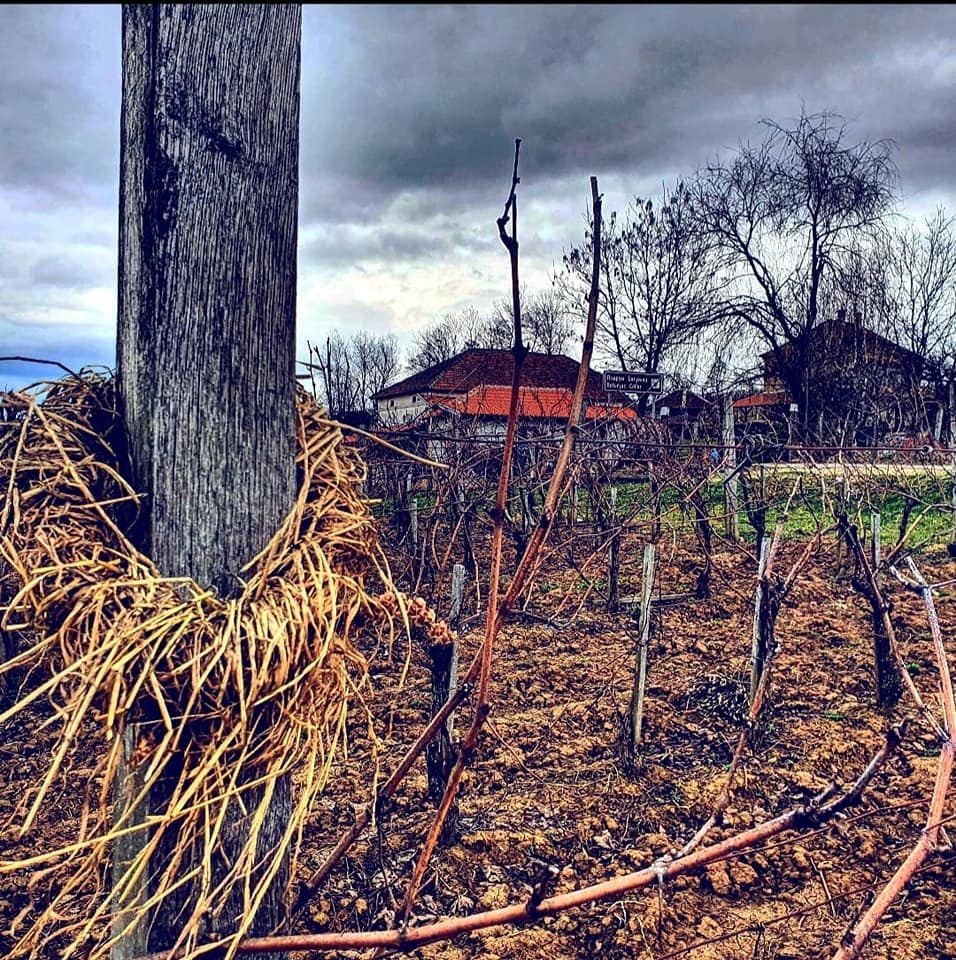 Vinarija Botunjac