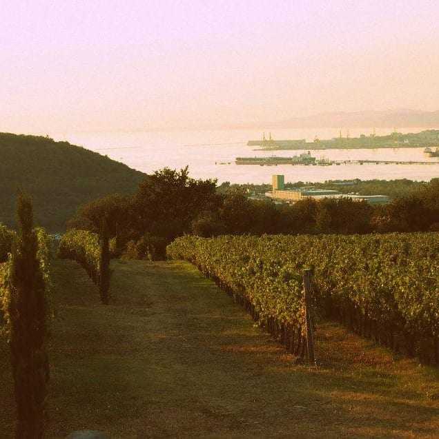 Vinarija Klen'Art