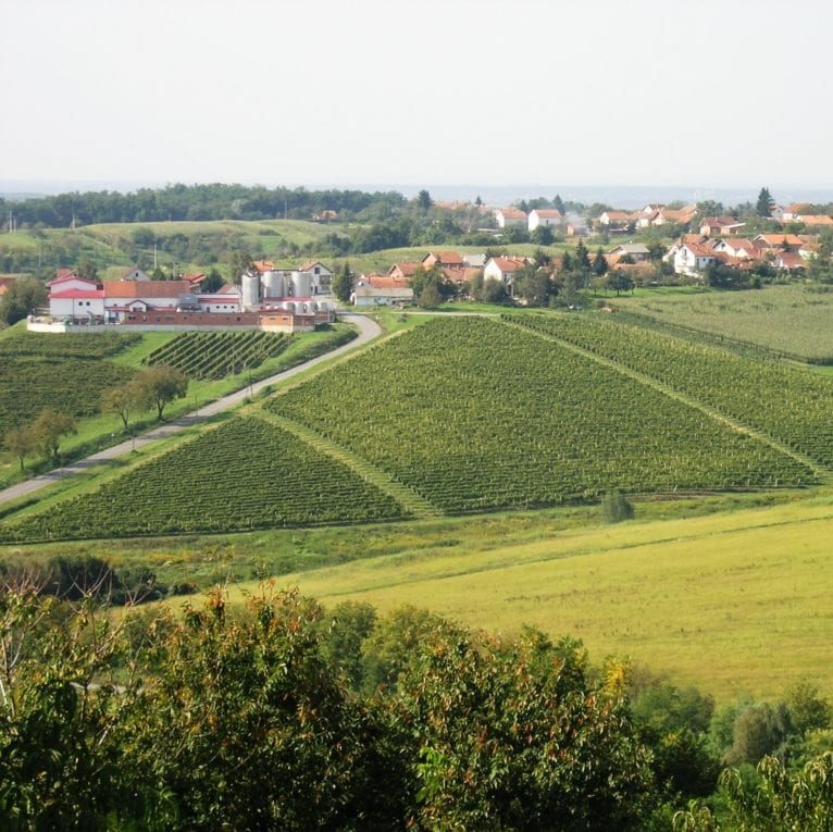 Vinarija Daruvar