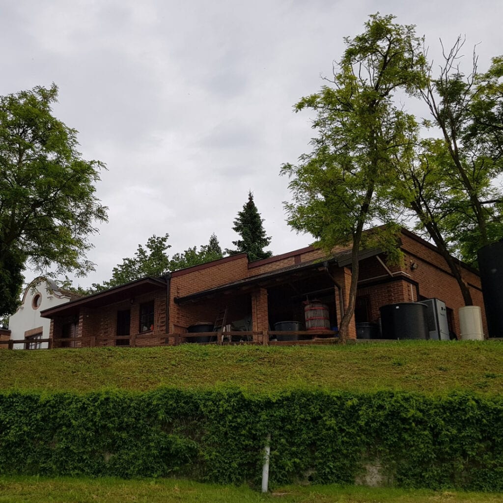 Vinarija Šijački