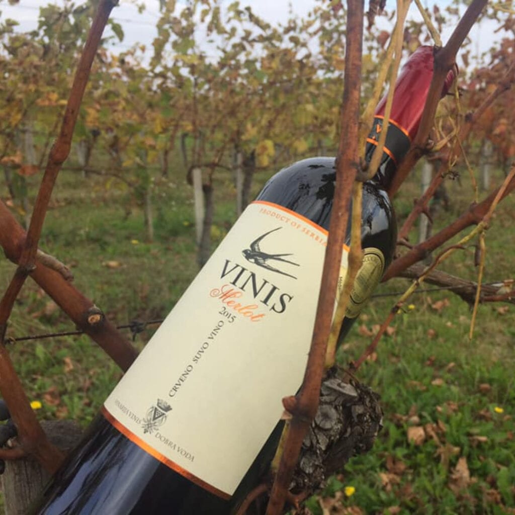 Vinarija Vinis