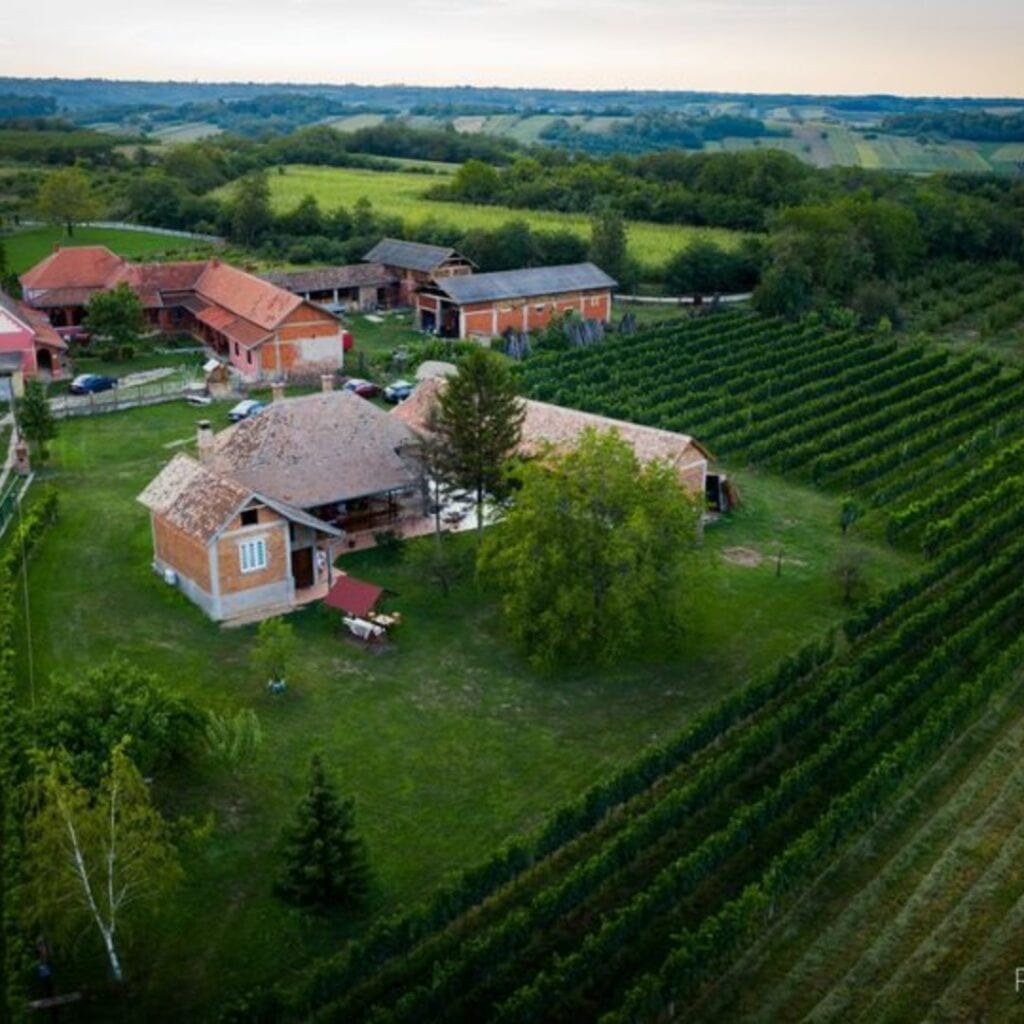 Vinarija Podrum Madžić