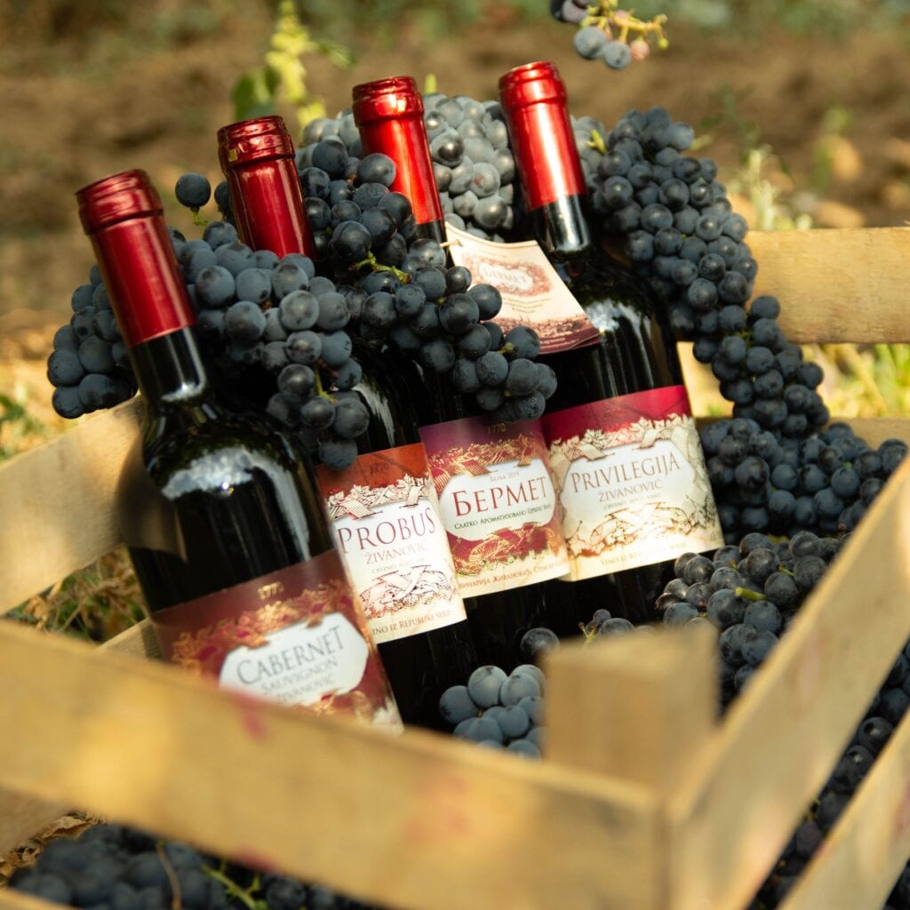 Vinarija Živanović