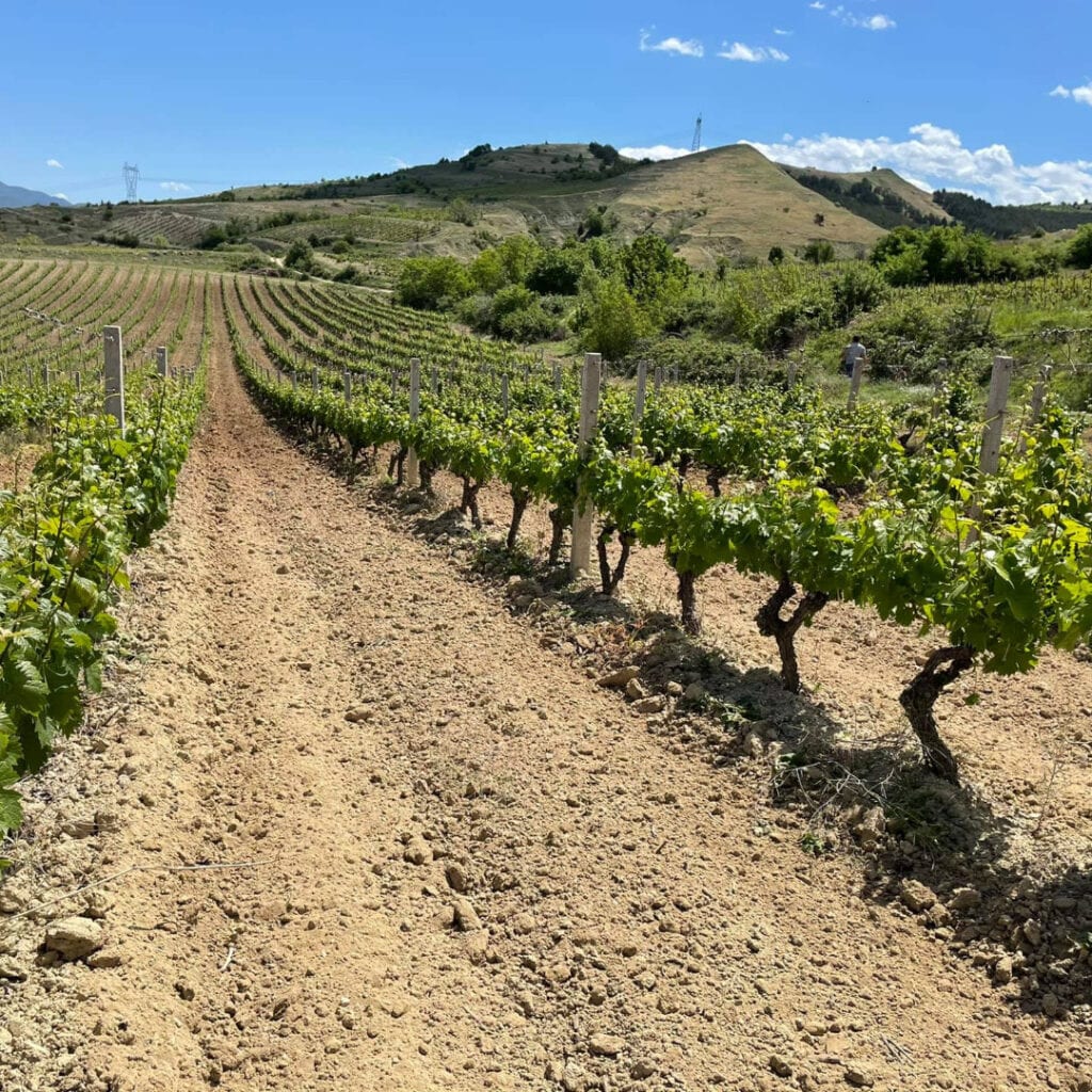 Vinarija Venec
