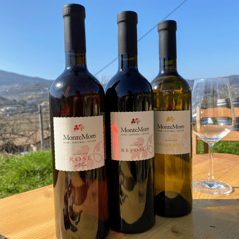 Vinarija MonteMoro Organic Winery