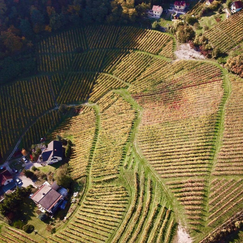 Vinarija VINOGRADI HORVAT - VINEYARDS HORVAT