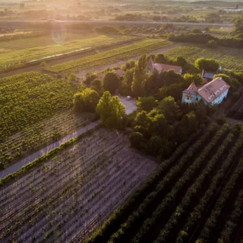 Vinarija Vinski dvor