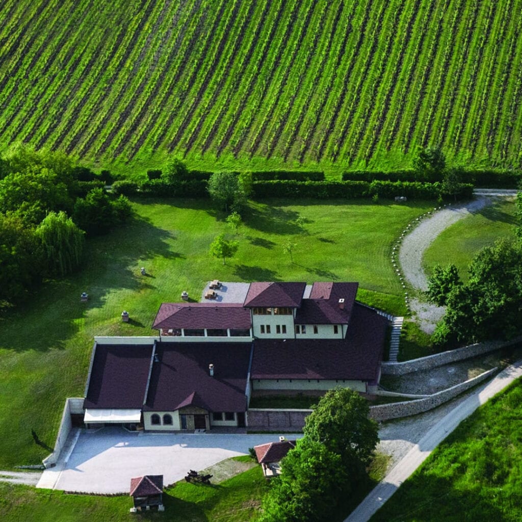 Vinarija Milijan Jelić - Pocersko Valjevska regija