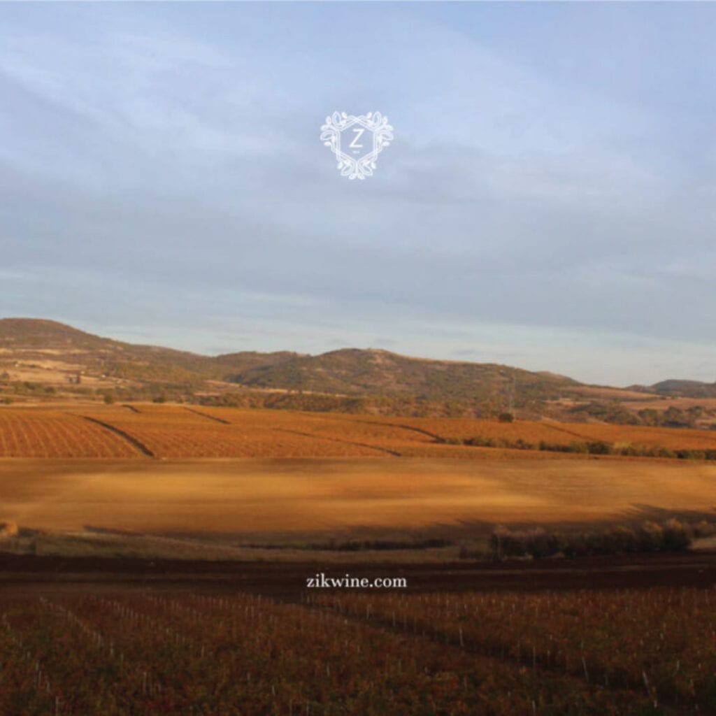 Vinarija Zik