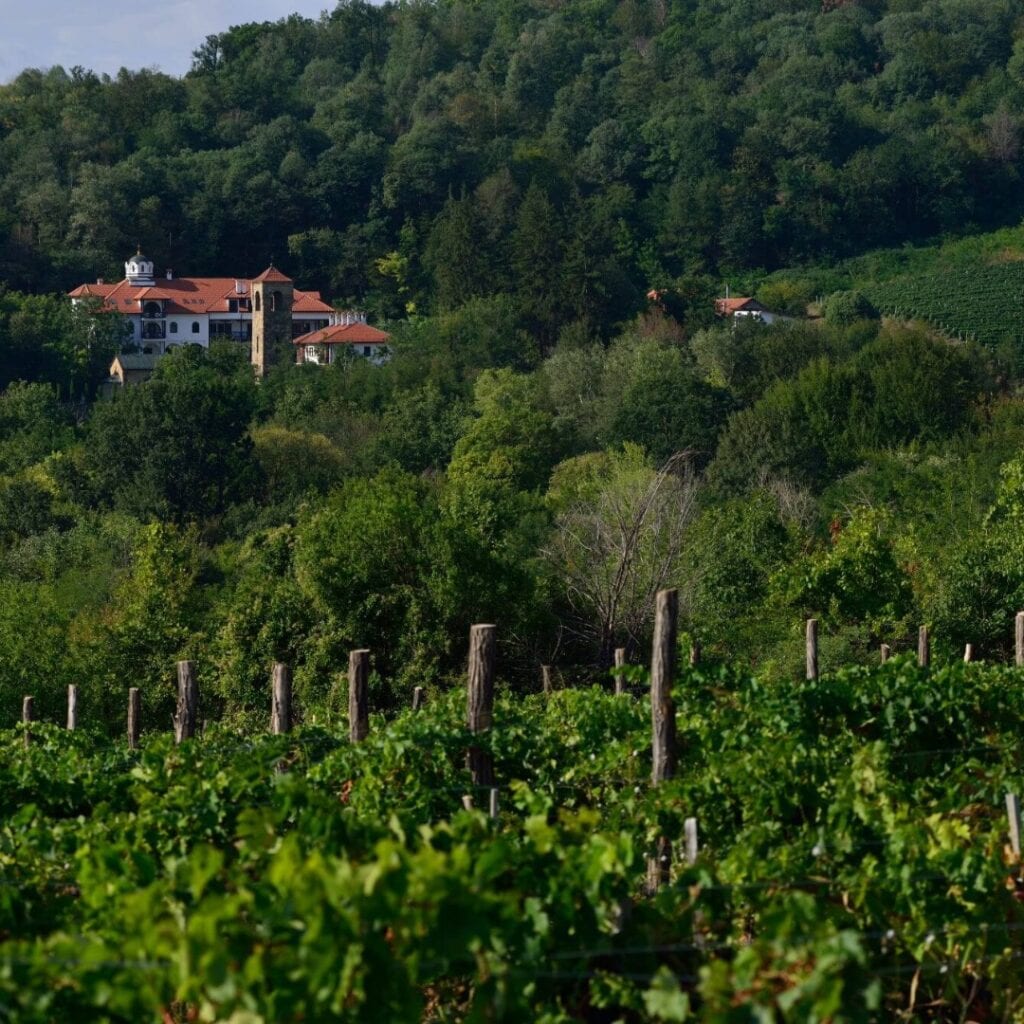 Vinarija manastira Bukovo