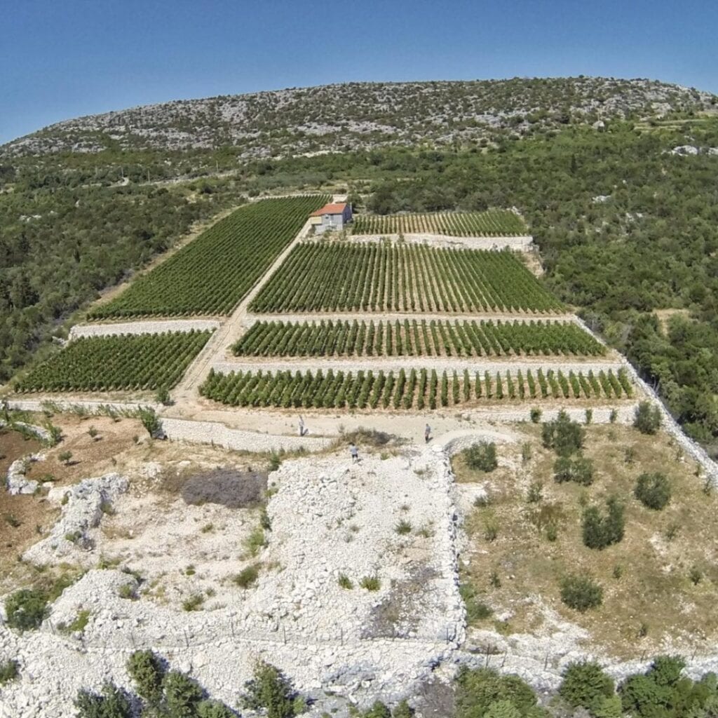 Plavac Mali