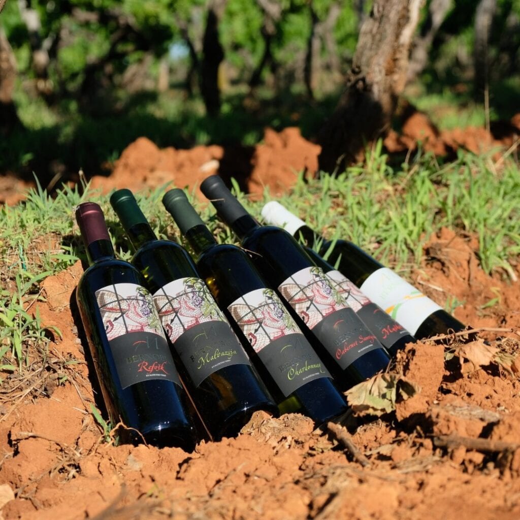 Vinarija Bernobić
