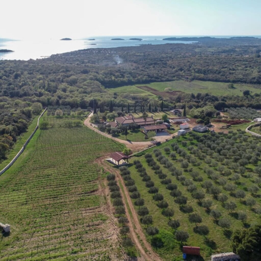 Vinarija Collis