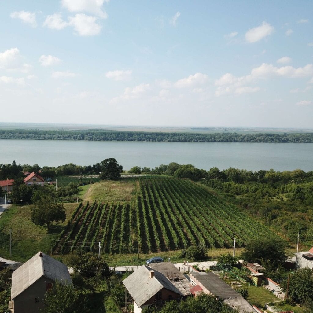 Vinarija Plavinac