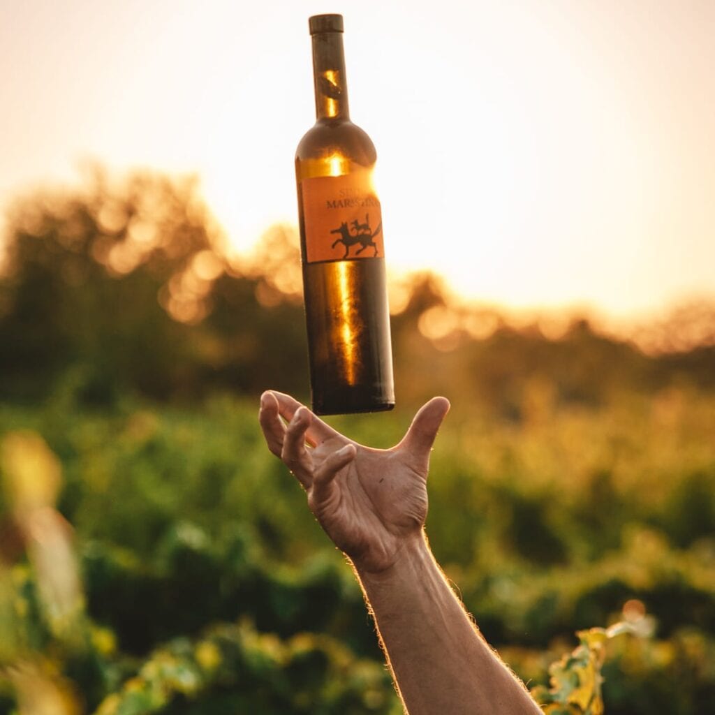 Vinarija Sladić
