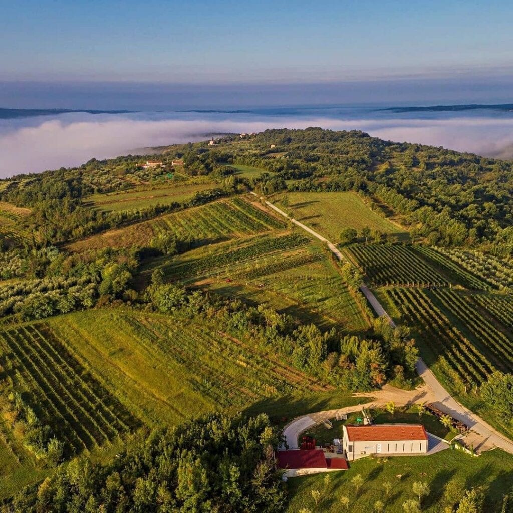 Vinarija Clai