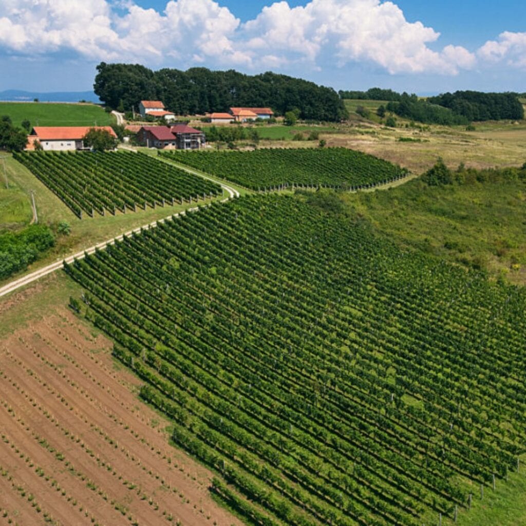 Vinarija Adora