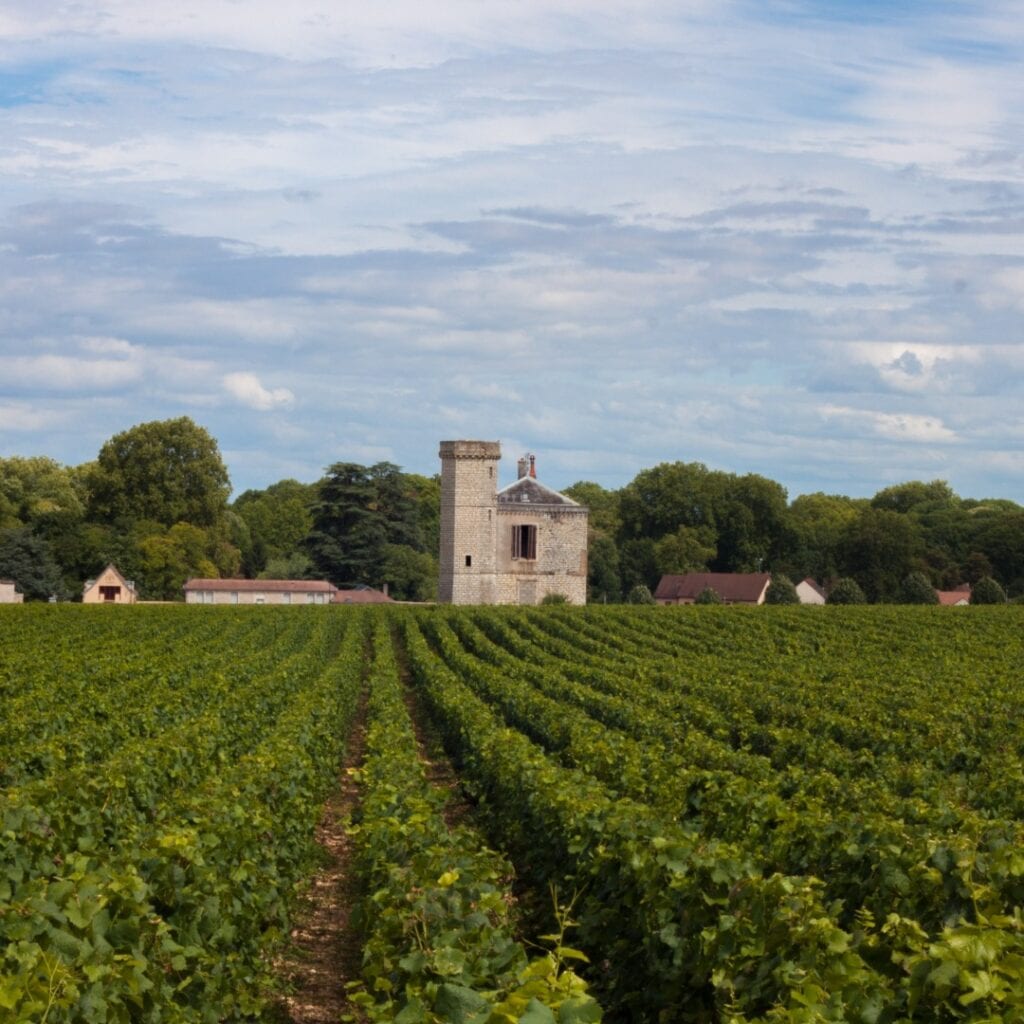 Burgundija – Vodič kroz burgundska vina