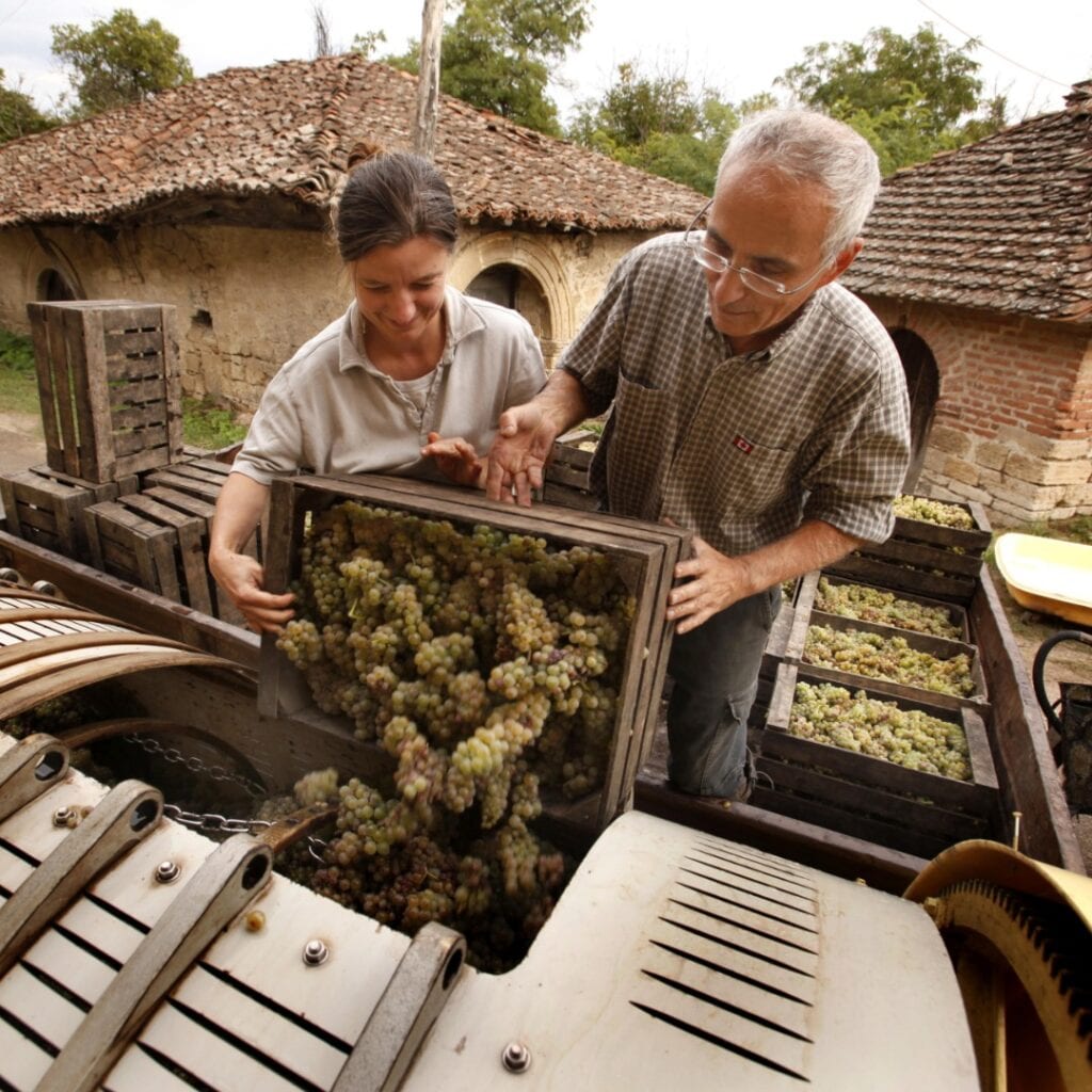 Francuska vinarija
