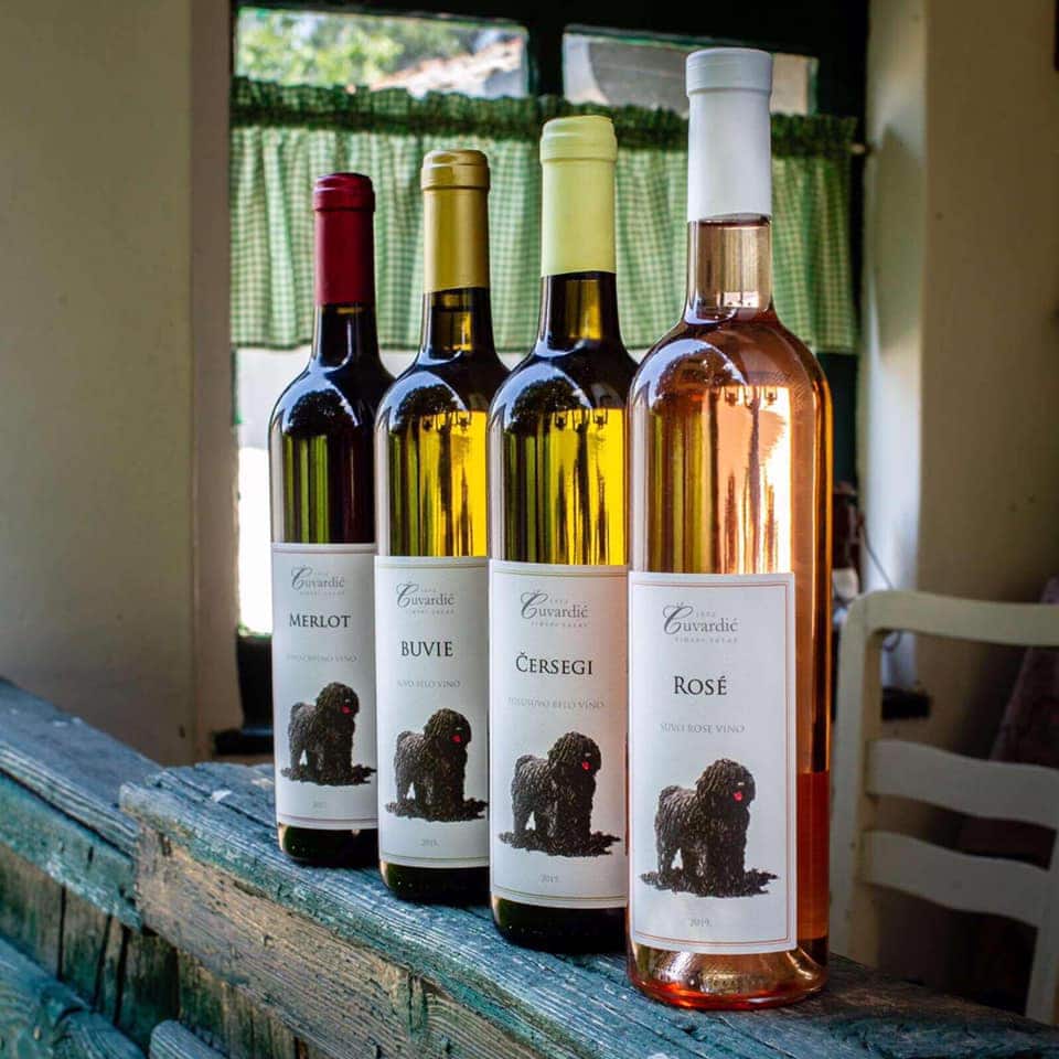 Vinarija Vinski salaš Čuvardić