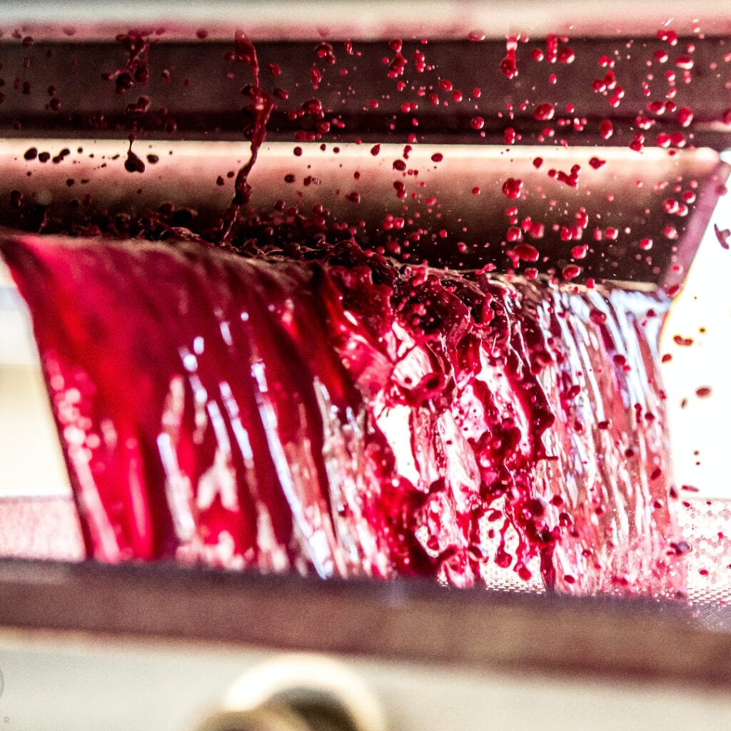 Vinski kvasci: Kako utiču na ukus vina? - Pitajte Decanter