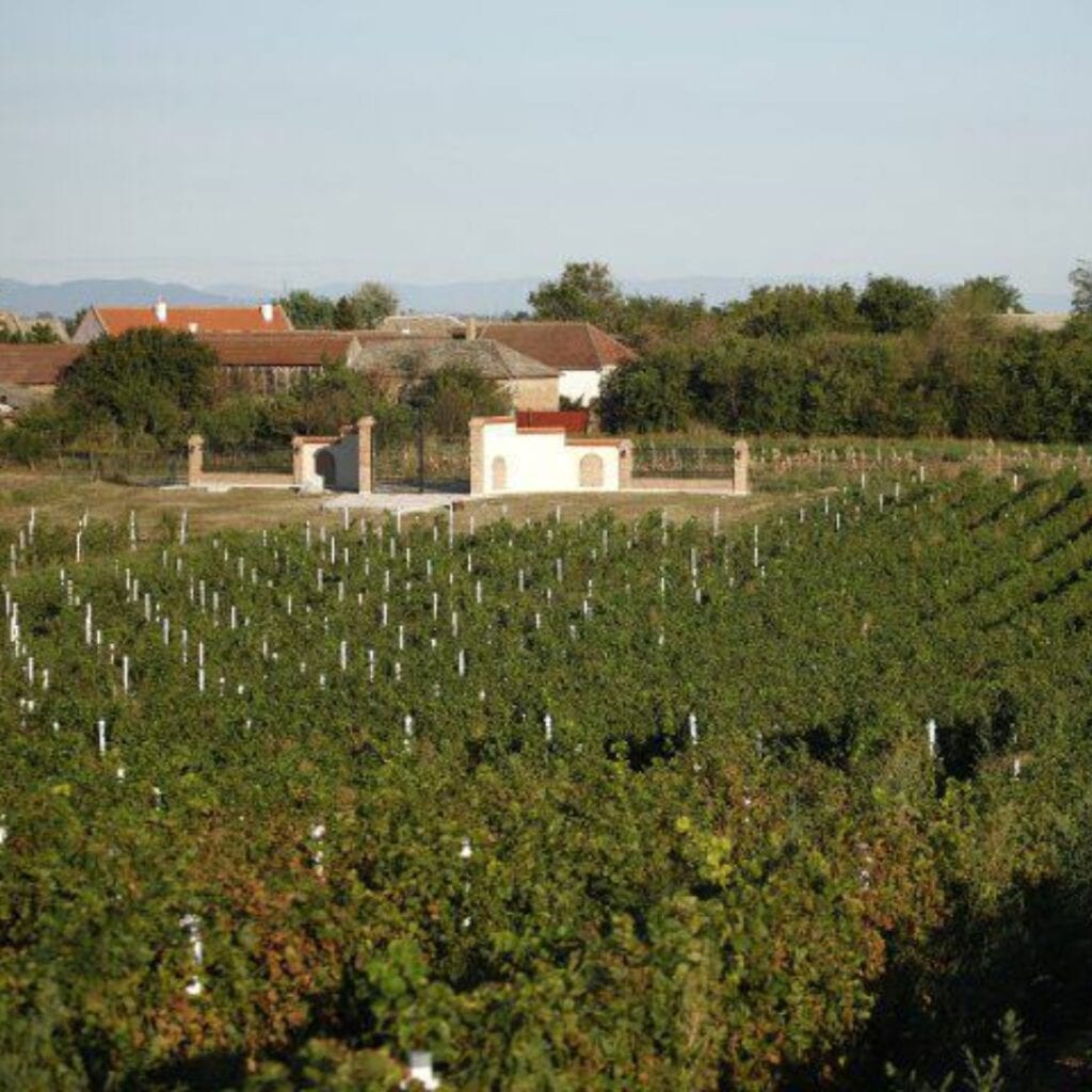 Vinarija Vinastra