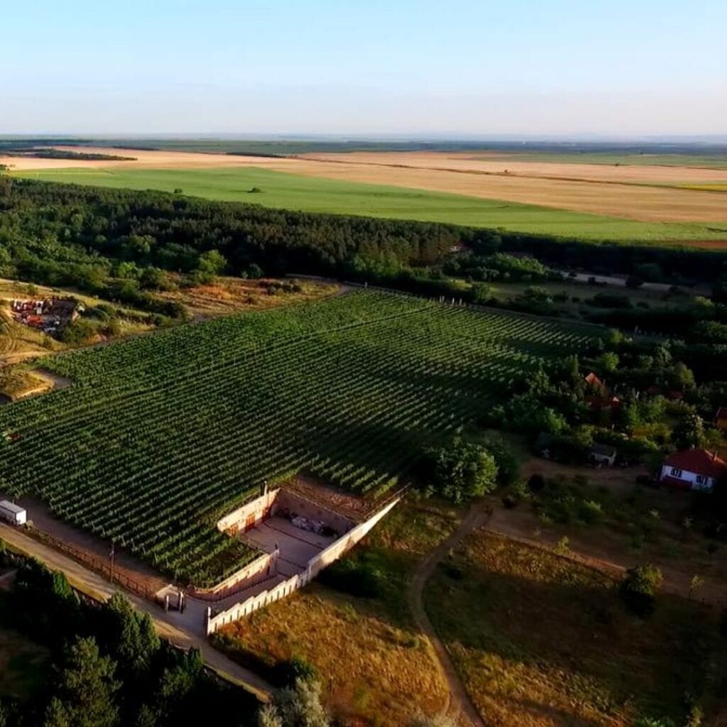 Vinarija Đorđe