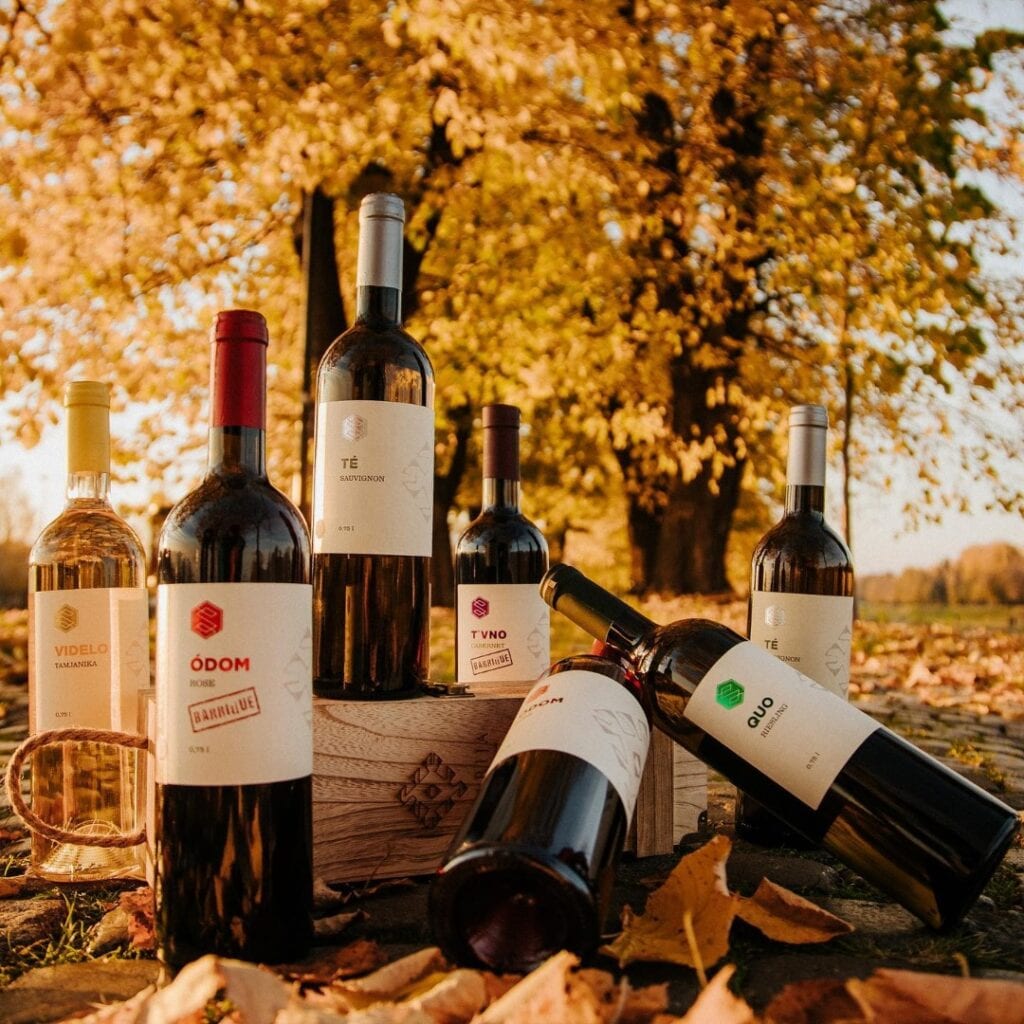 Vinarija Savić iz Pirota