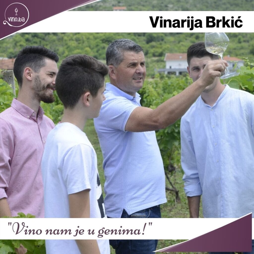 Intervju: Josip Brkić, Vino Brkić