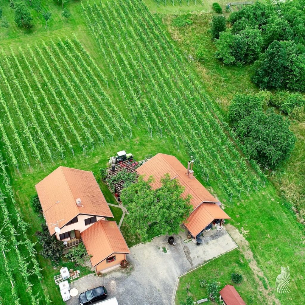 Vinarija Maček