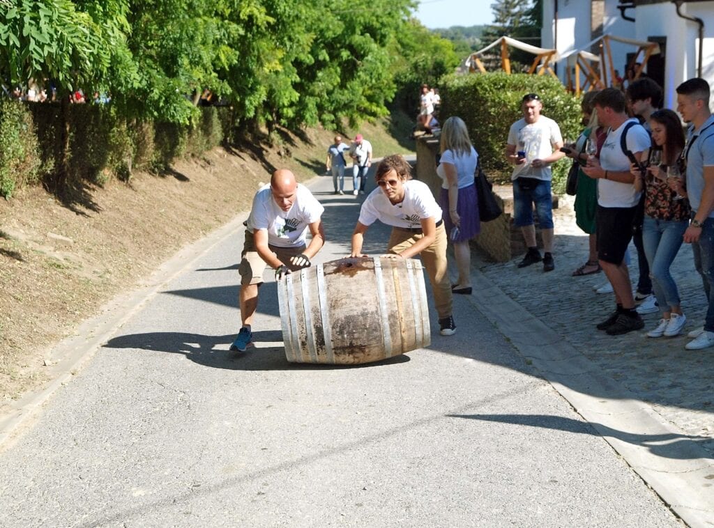 Baranja Vinatlon Surduci
