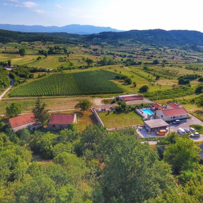 Vinarija Krolo