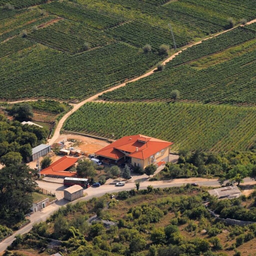 Vinarija Katunar