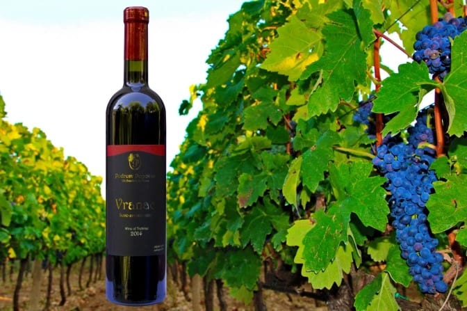 Vranac - Vinarija Popovac 
