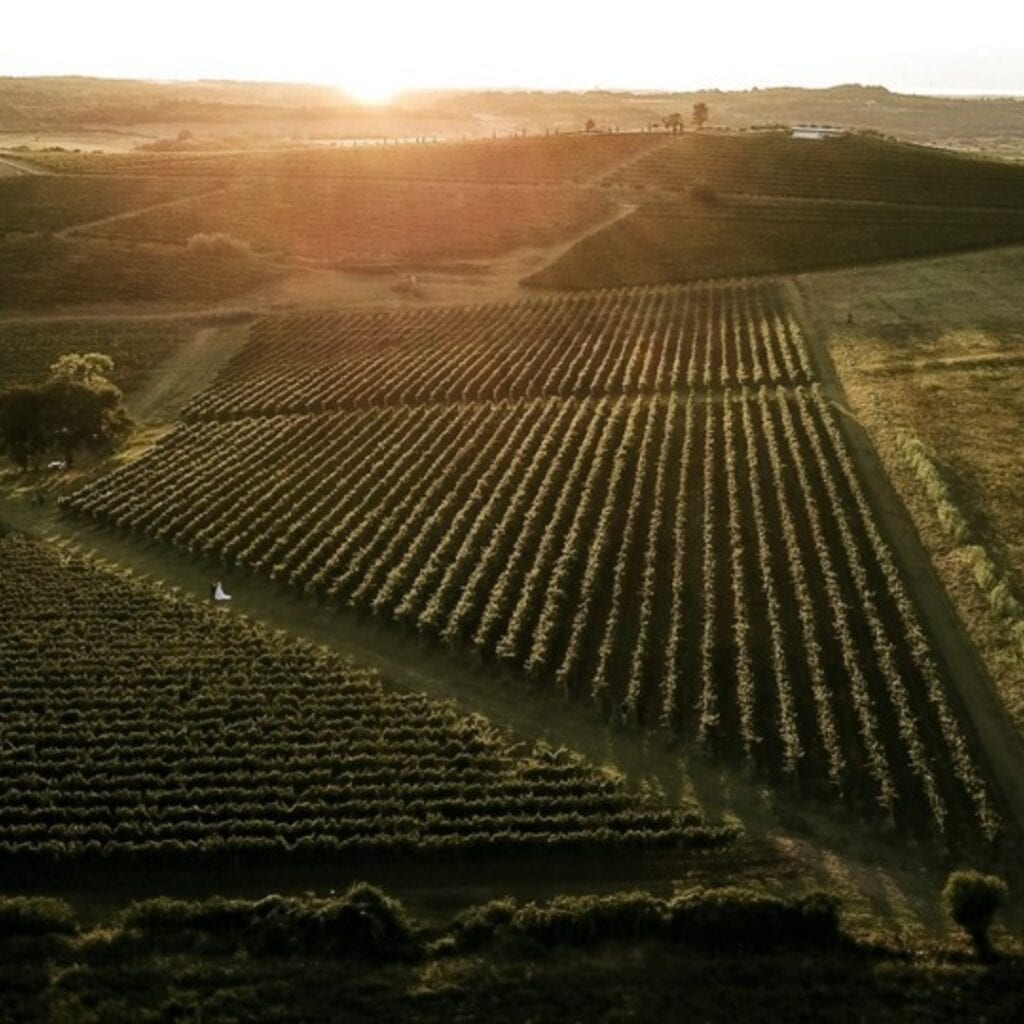 Vinarija Vina Franković