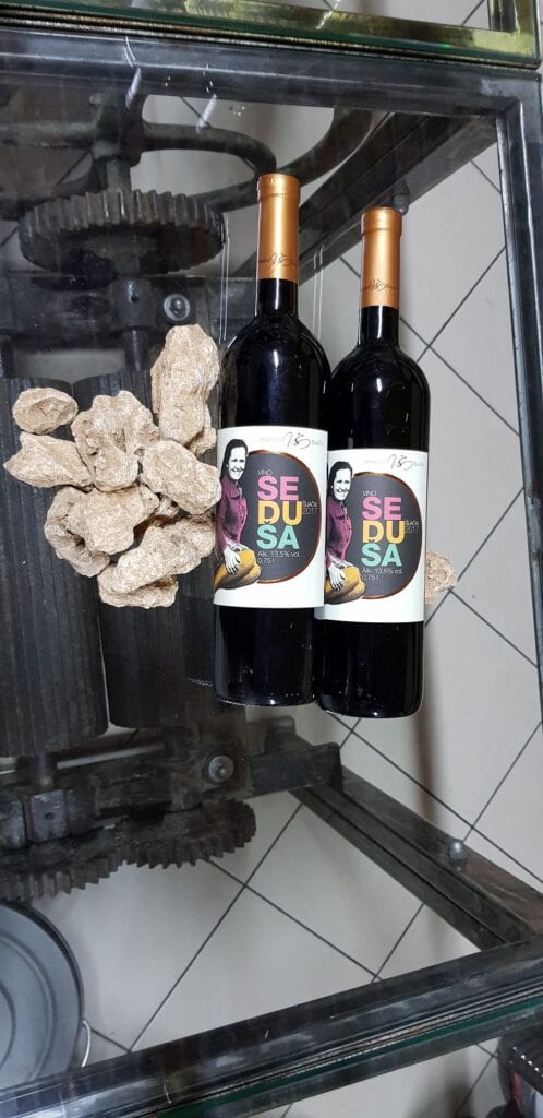 Seduša Vinarija Šijački